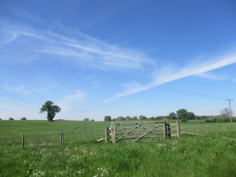 blueskies